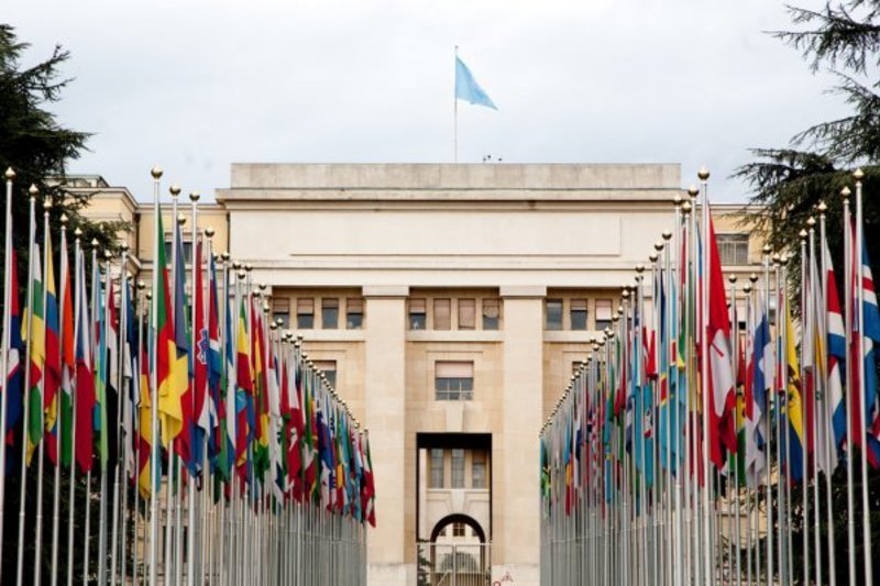 Coiste na Náisiún Aontaithe ag moladh Acht Gaeilge a chur i bhfeidhm