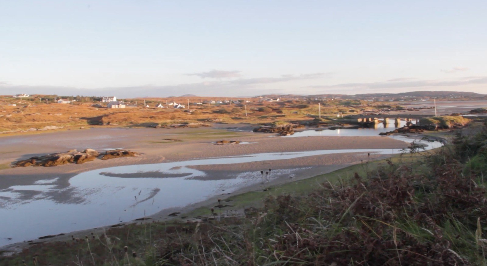 Na céadta aighneacht i gcoinne feirm oisrí i dTír Chonaill