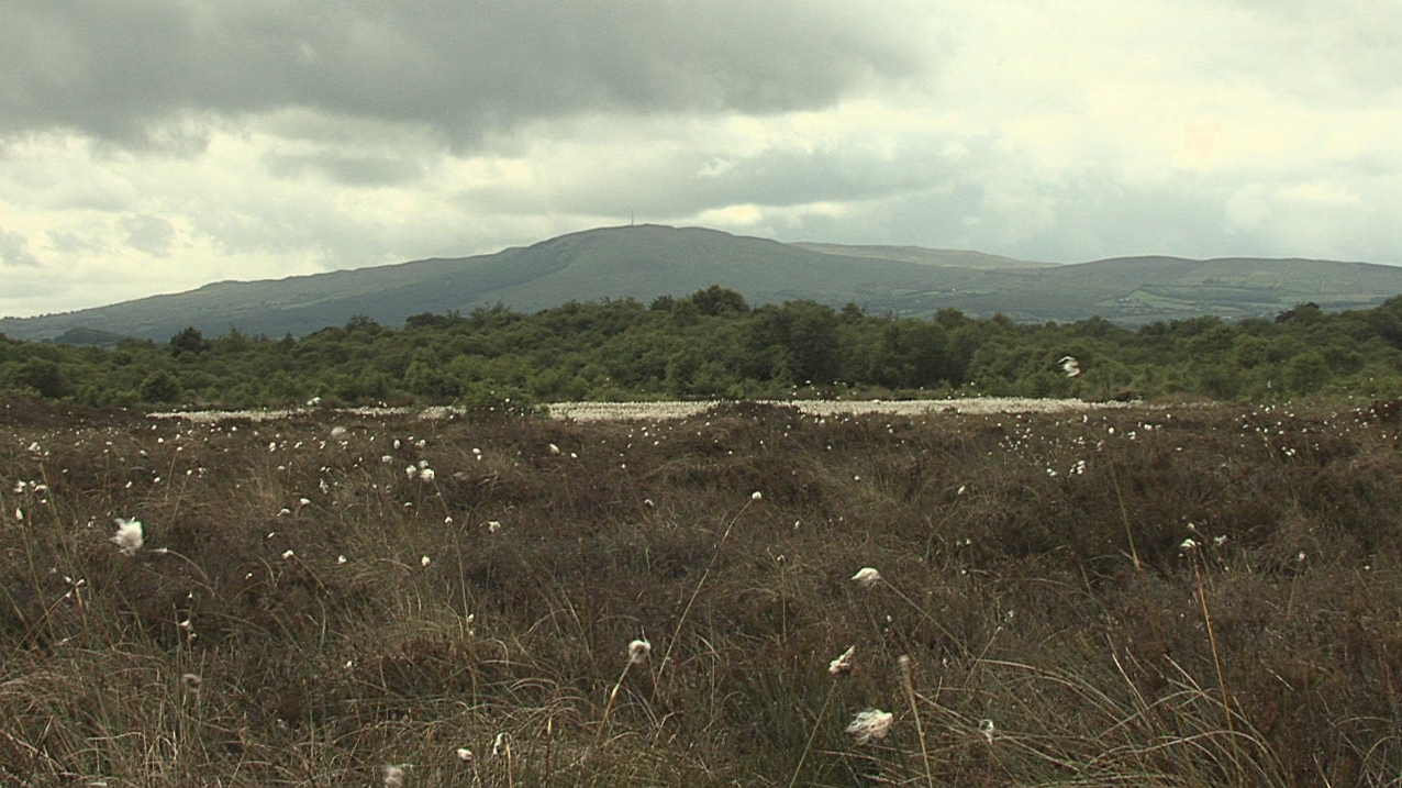 Lá San Suitín – muintir an Chairn ag tuar na haimsire!