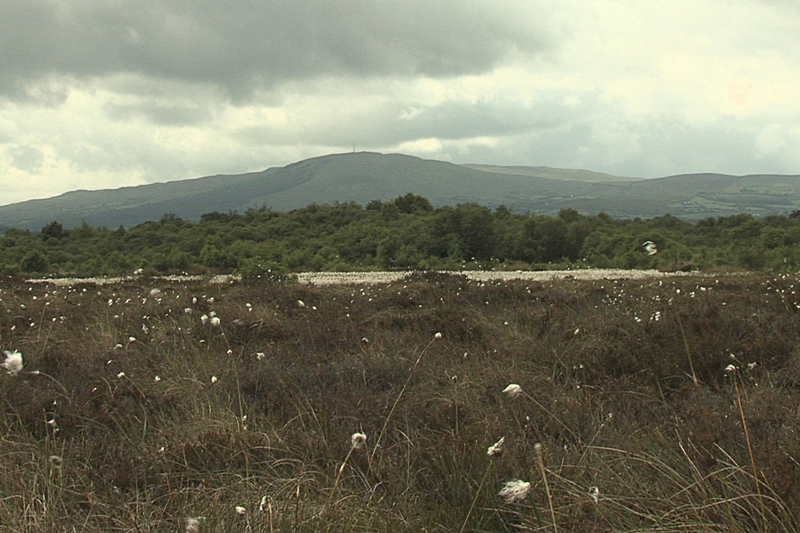Lá San Suitín – muintir an Chairn ag tuar na haimsire!