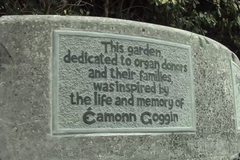 Gairdín na Beatha i mBóthar na Trá