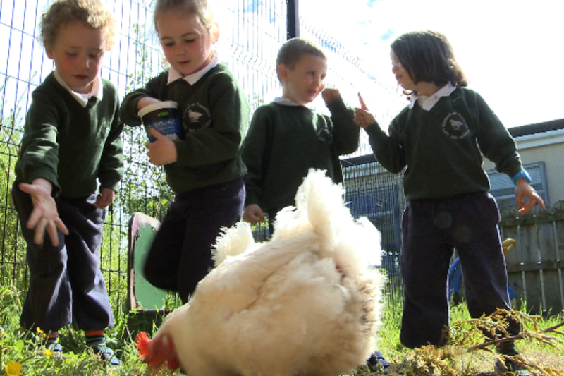 Méadú 50% ar líon na ndaltaí Gaelscoile ó 2005