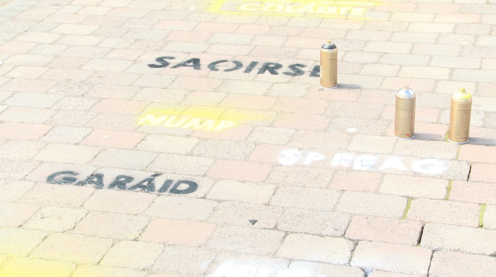 Cant - teanga an lucht siúil i mbaol