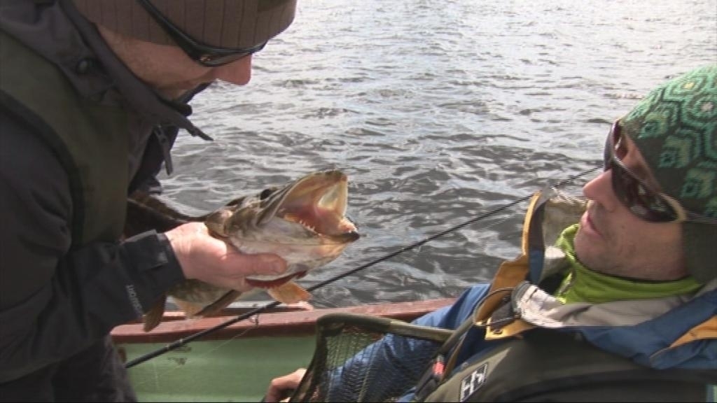 Frainc Fiáin... Bear Grylls na Gaeilge!